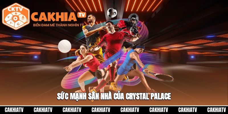 Sức mạnh sân nhà của Crystal Palace